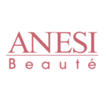 anesi logo