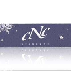 Professionaalne küüneviil talvise motiiviga